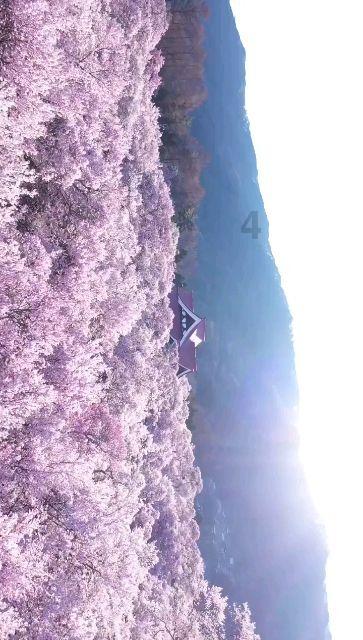 我想买学区房有必要吗游戏画面