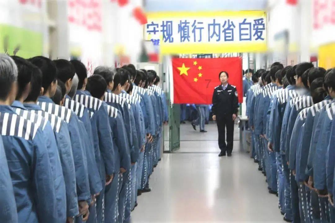 厉害了我的巧虎6